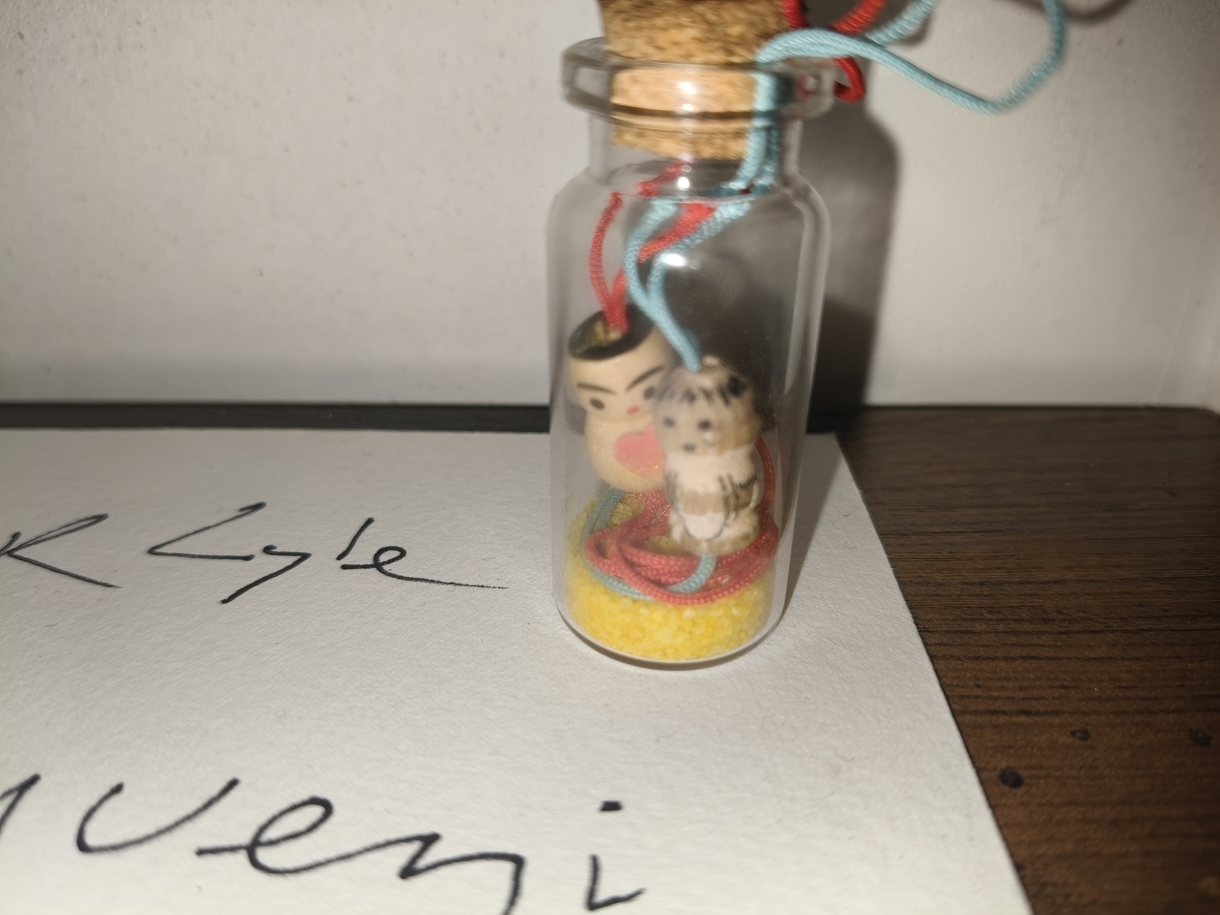 (Geluks poppetjes in een flesje/Luck puppets in a bottle)